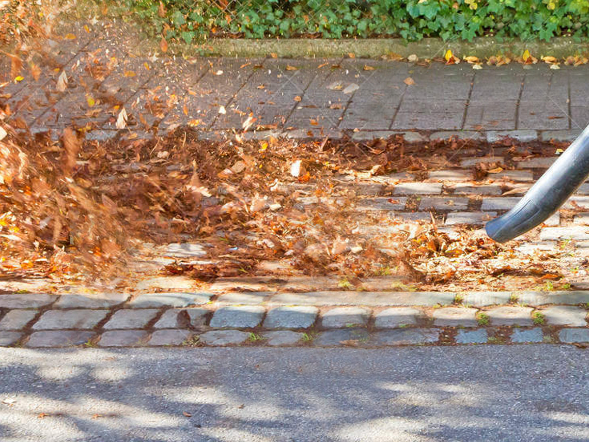 leaf-clean-up-berlin-ct